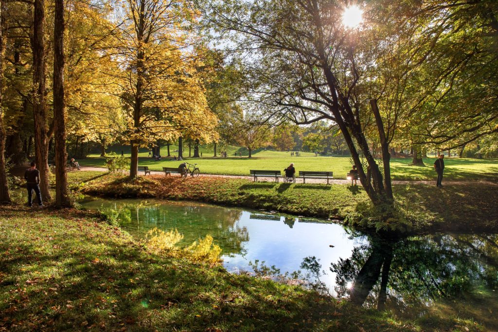 Diese Foto entstand während des Fotowalks im Englischen Garten in München.